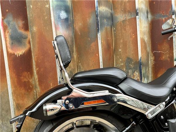 2023 Harley-Davidson Softail