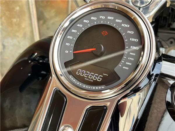 2023 Harley-Davidson Softail