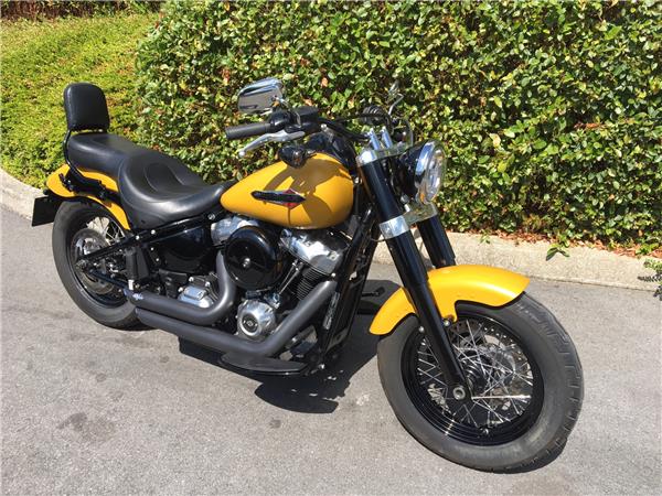 2019 HARLEY-DAVIDSON SLIM