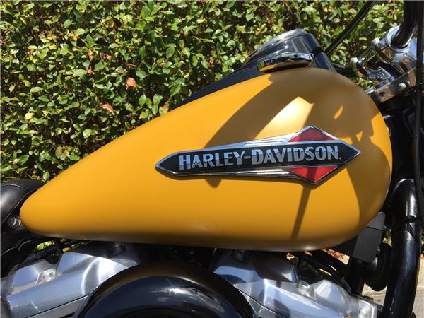 2019 HARLEY-DAVIDSON SLIM