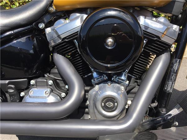 2019 HARLEY-DAVIDSON SLIM
