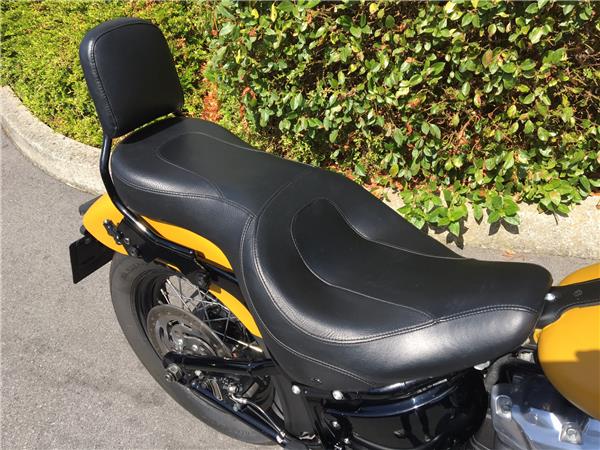 2019 HARLEY-DAVIDSON SLIM