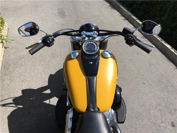 2019 HARLEY-DAVIDSON SLIM