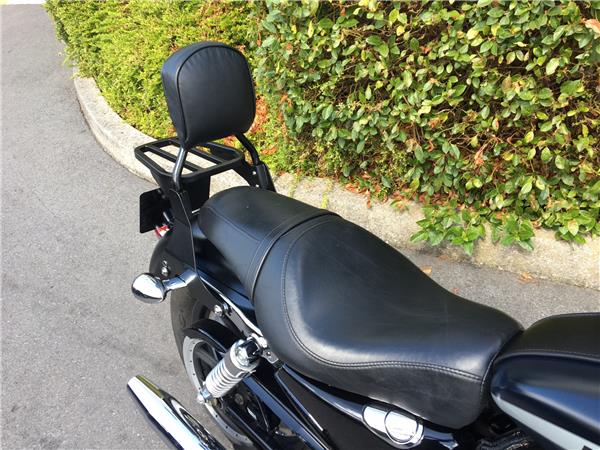 2013 HARLEY-DAVIDSON CUSTOM