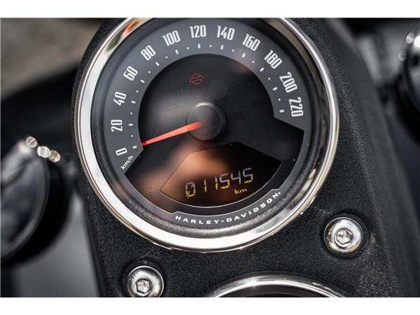 Harley-Davidson Kiel FXLRS LOW RIDER S 114 CUI - JEKILL&HYDE -
