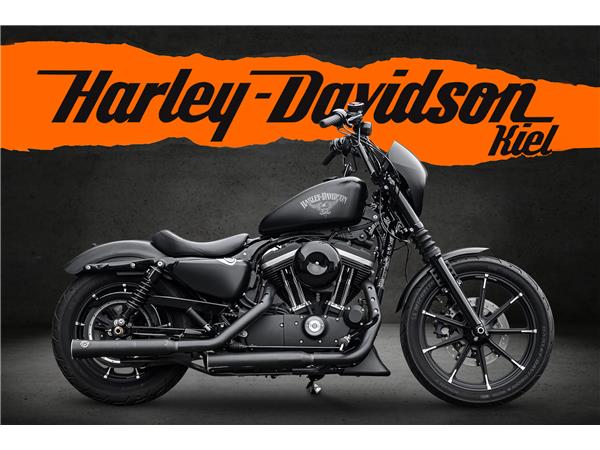 Harley-Davidson Kiel XL883N - Iron 883 Falcon Auspuff- Progressive Su