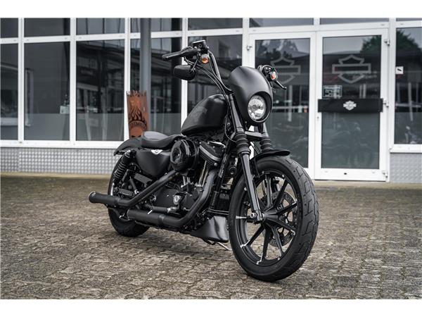 Harley-Davidson Kiel XL883N - Iron 883 Falcon Auspuff- Progressive Su