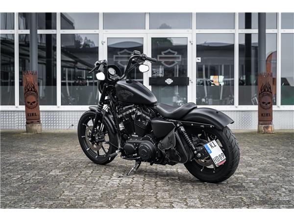 Harley-Davidson Kiel XL883N - Iron 883 Falcon Auspuff- Progressive Su