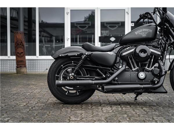 Harley-Davidson Kiel XL883N - Iron 883 Falcon Auspuff- Progressive Su
