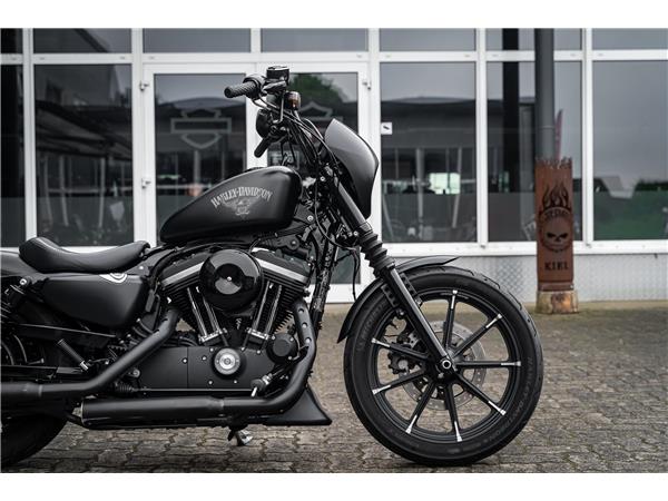 Harley-Davidson Kiel XL883N - Iron 883 Falcon Auspuff- Progressive Su