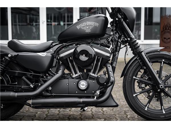 Harley-Davidson Kiel XL883N - Iron 883 Falcon Auspuff- Progressive Su