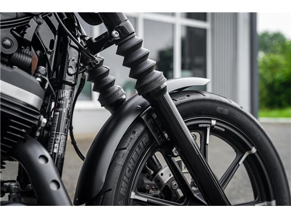 Harley-Davidson Kiel XL883N - Iron 883 Falcon Auspuff- Progressive Su