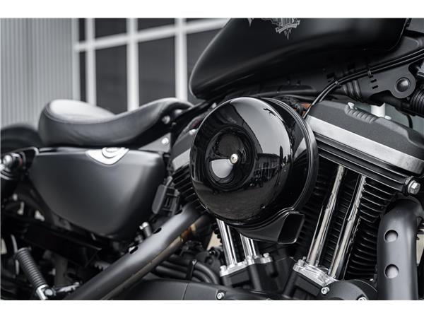 Harley-Davidson Kiel XL883N - Iron 883 Falcon Auspuff- Progressive Su