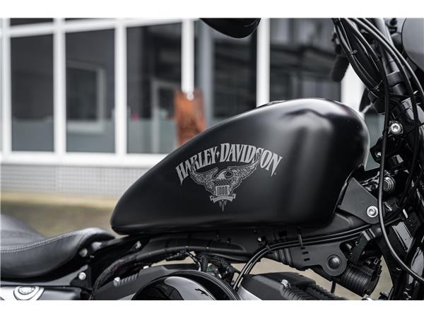 Harley-Davidson Kiel XL883N - Iron 883 Falcon Auspuff- Progressive Su