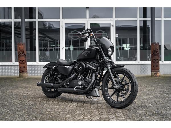 Harley-Davidson Kiel XL883N - Iron 883 Falcon Auspuff- Progressive Su