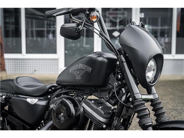 Harley-Davidson Kiel XL883N - Iron 883 Falcon Auspuff- Progressive Su