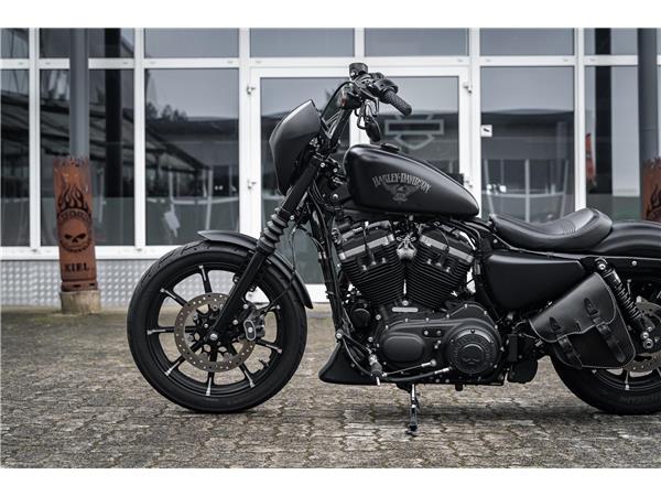 Harley-Davidson Kiel XL883N - Iron 883 Falcon Auspuff- Progressive Su