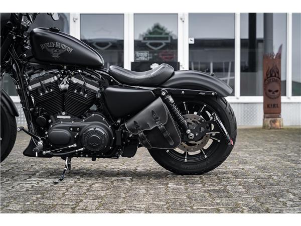 Harley-Davidson Kiel XL883N - Iron 883 Falcon Auspuff- Progressive Su
