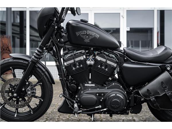 Harley-Davidson Kiel XL883N - Iron 883 Falcon Auspuff- Progressive Su