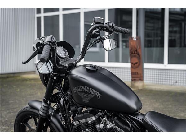 Harley-Davidson Kiel XL883N - Iron 883 Falcon Auspuff- Progressive Su