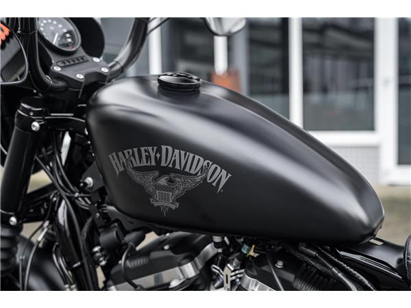 Harley-Davidson Kiel XL883N - Iron 883 Falcon Auspuff- Progressive Su