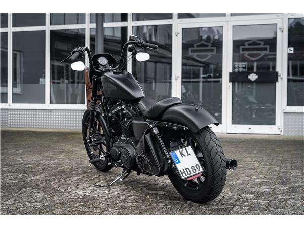 Harley-Davidson Kiel XL883N - Iron 883 Falcon Auspuff- Progressive Su