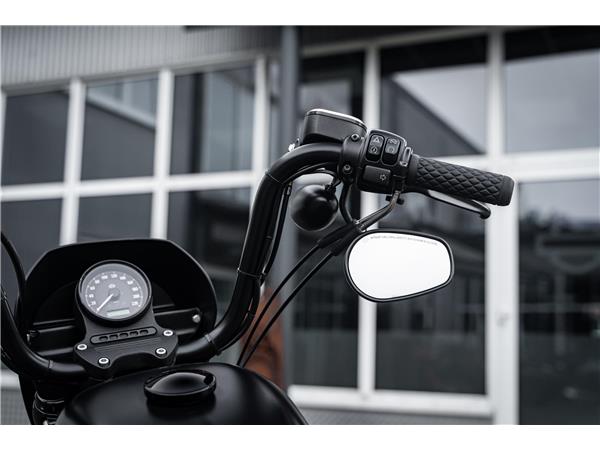 Harley-Davidson Kiel XL883N - Iron 883 Falcon Auspuff- Progressive Su