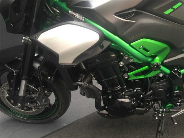 2025 Kawasaki Z900 GREY & GREEN
