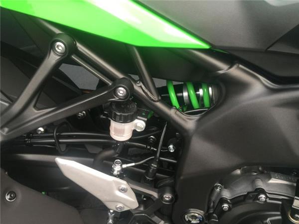 2025 Kawasaki NINJA ZX-4RR LIME GREEN