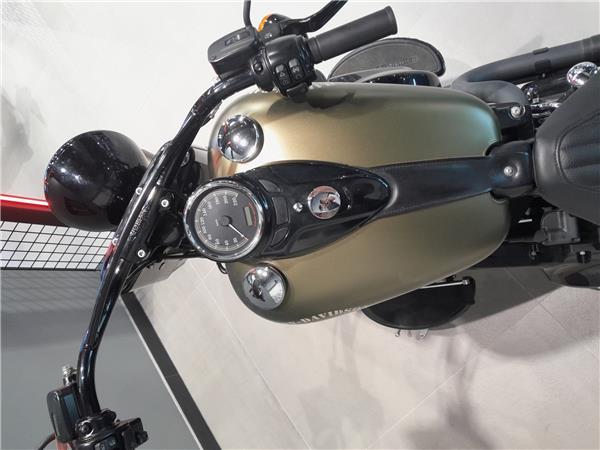 2017 HARLEY-DAVIDSON SLIM