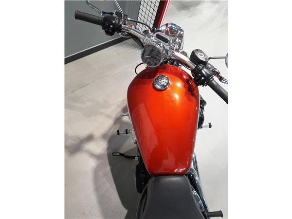 2013 HARLEY-DAVIDSON CUSTOM