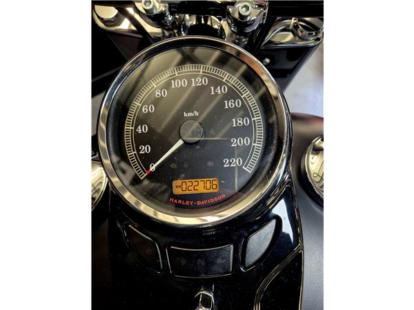 2013 HARLEY-DAVIDSON SLIM