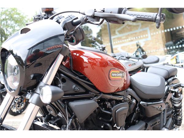 2025 HARLEY-DAVIDSON NIGHTSTER SPECIAL