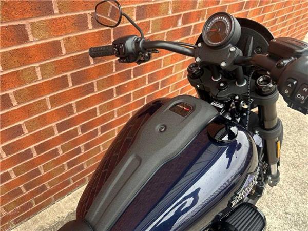 2025 Harley-Davidson FXLRS LOW RIDER S