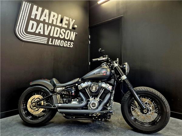 2019 HARLEY-DAVIDSON SLIM