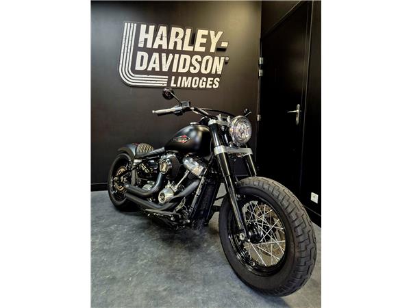 2019 HARLEY-DAVIDSON SLIM