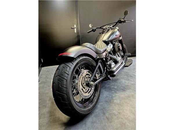 2019 HARLEY-DAVIDSON SLIM