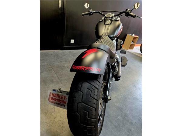 2019 HARLEY-DAVIDSON SLIM