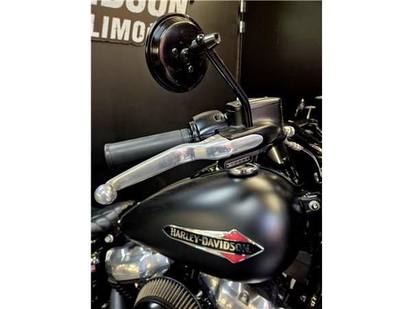 2019 HARLEY-DAVIDSON SLIM