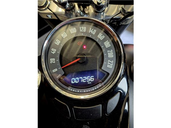2019 HARLEY-DAVIDSON SLIM