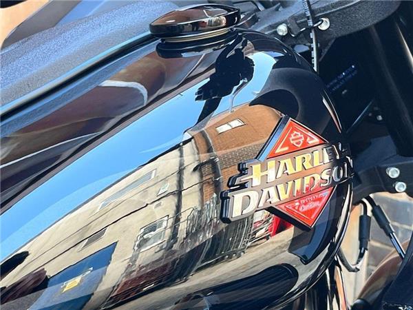 2025 Harley-Davidson Softail