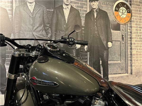 2019 HARLEY-DAVIDSON SLIM