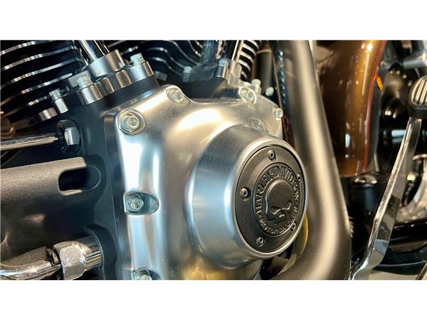 2013 harley-davidson FLSTFB Fat Boy Special ABS Anniversary
