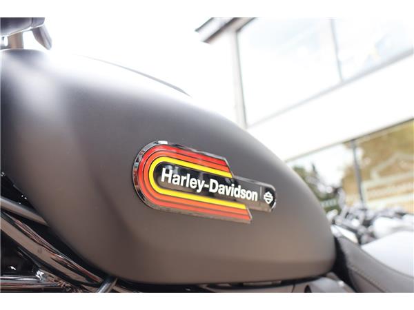 2024 HARLEY-DAVIDSON NIGHTSTER SPECIAL