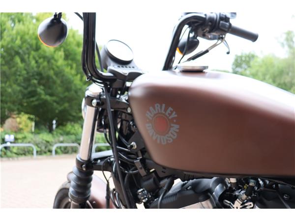 2020 HARLEY-DAVIDSON SPORTSTER XL883N IRON