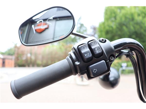 2020 HARLEY-DAVIDSON SPORTSTER XL883N IRON