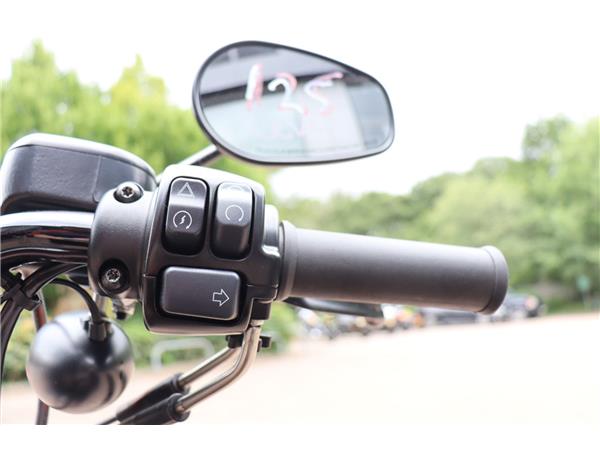 2020 HARLEY-DAVIDSON SPORTSTER XL883N IRON