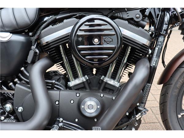 2020 HARLEY-DAVIDSON SPORTSTER XL883N IRON