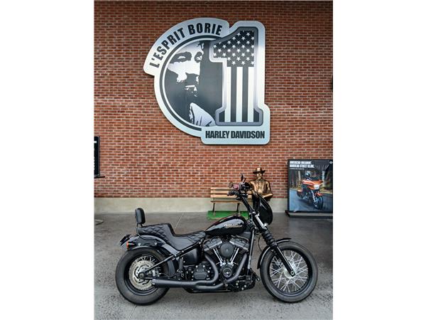 2019 HARLEY-DAVIDSON STREET BOB
