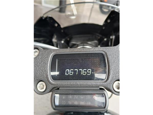 2019 HARLEY-DAVIDSON STREET BOB